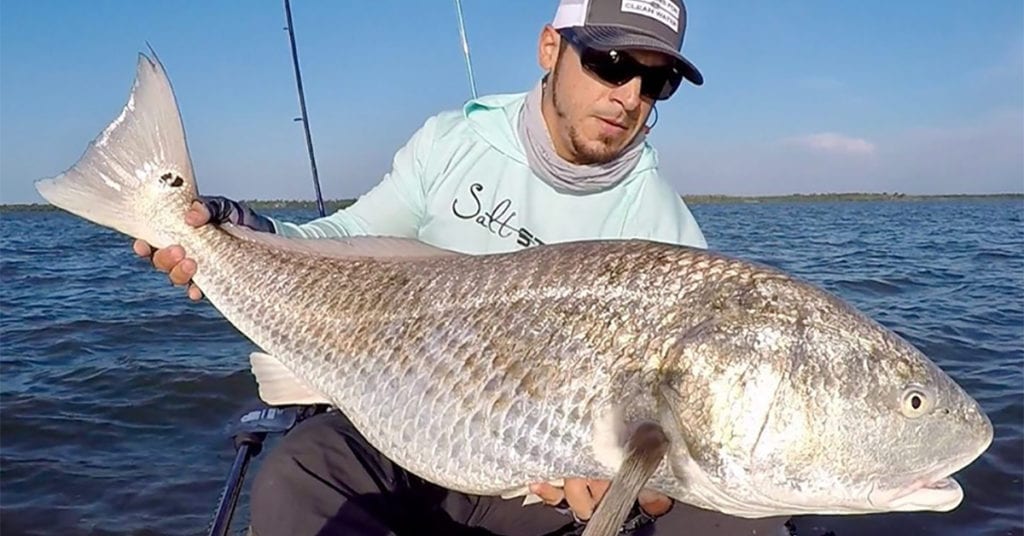 how to catch redfish