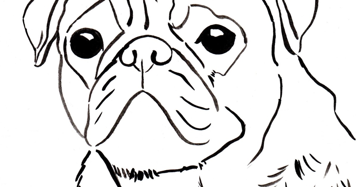 Pug Coloring Pages To Download And Print For Free Pup - vrogue.co