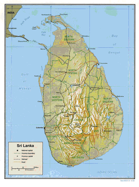 Trincomalee IDPS Forcibly Returned as Human Shields