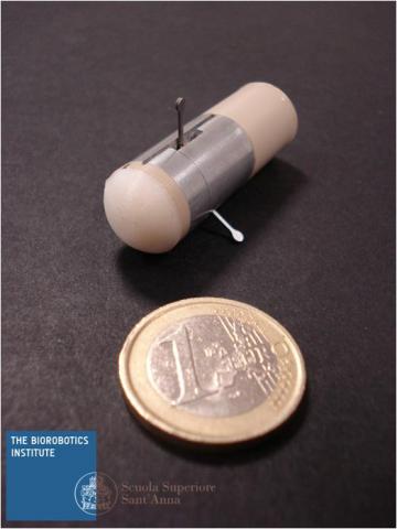 Image for imm10_-hybrid_capsule.jpg