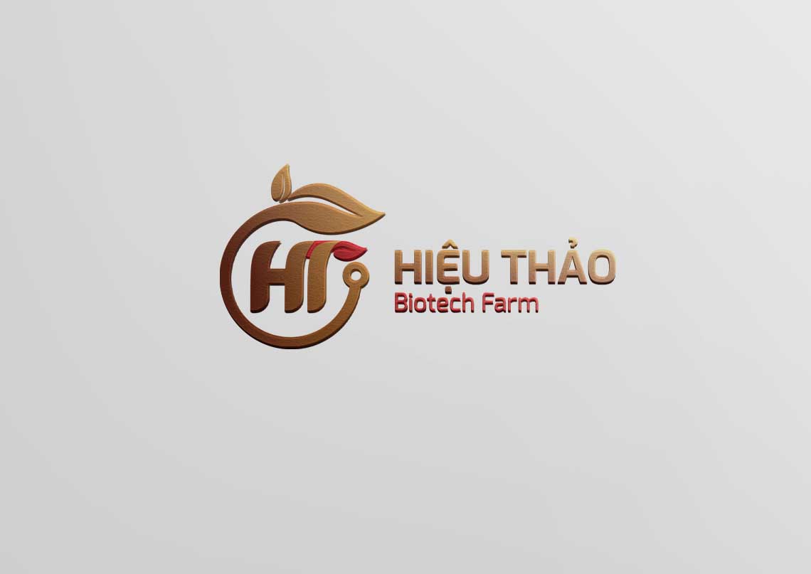 logo ht đẹp » SonBranding - Tư vấn và thiết kế thương hiệu TOP1