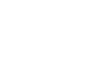 Save The Music Foundation