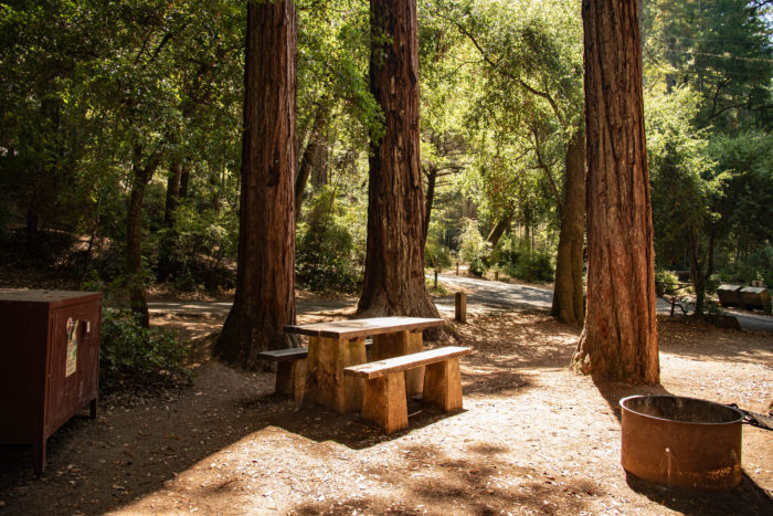 3 of the best San Francisco Bay Area redwoods campgrounds - Save the ...