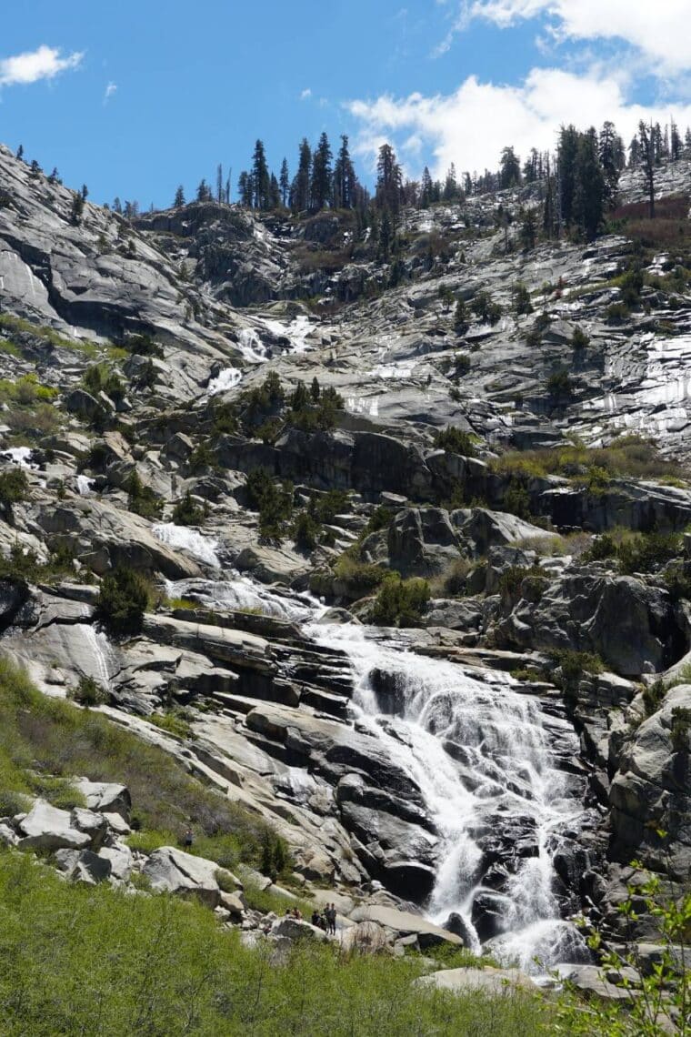 Water cascades down a towering gray canyon. Trees and other plants stand on the rocks.