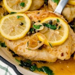 angle view of chicken in piccata sauce