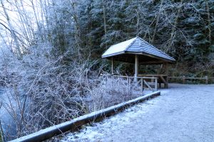 Rice Lake Loop Winter Hiking in Vancouver - SavvyMom