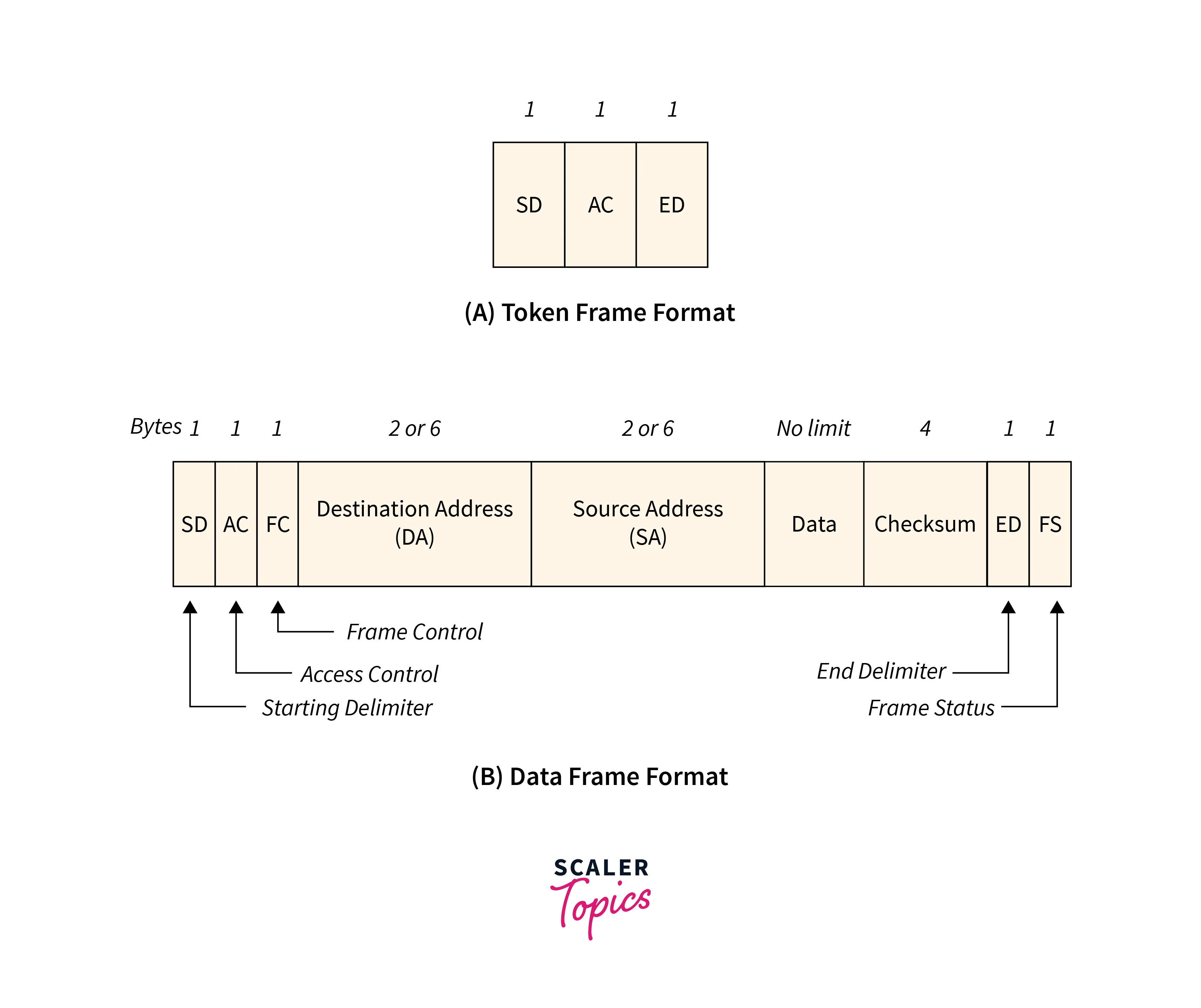 IEEE 802.5 Token Ring Frame Format