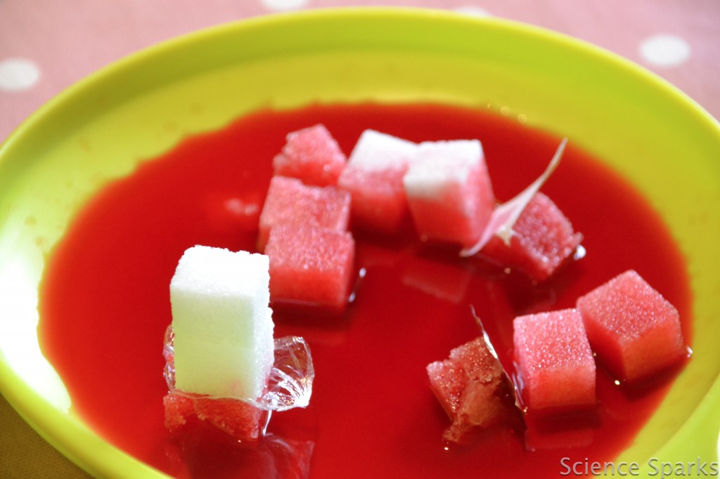 sugar cubes, red water, foil and tissue on a plate