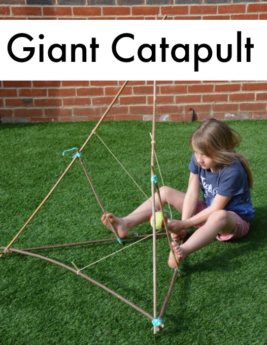 Giant garden catapult made with garden canes
