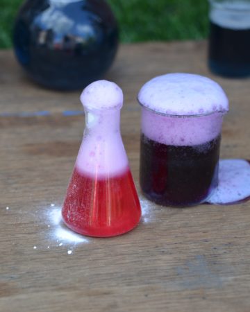 red cabbage indicator fizzy potions