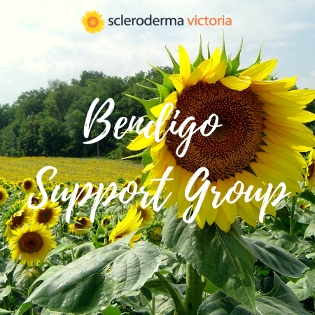 Field of sunflowers - Bendigo