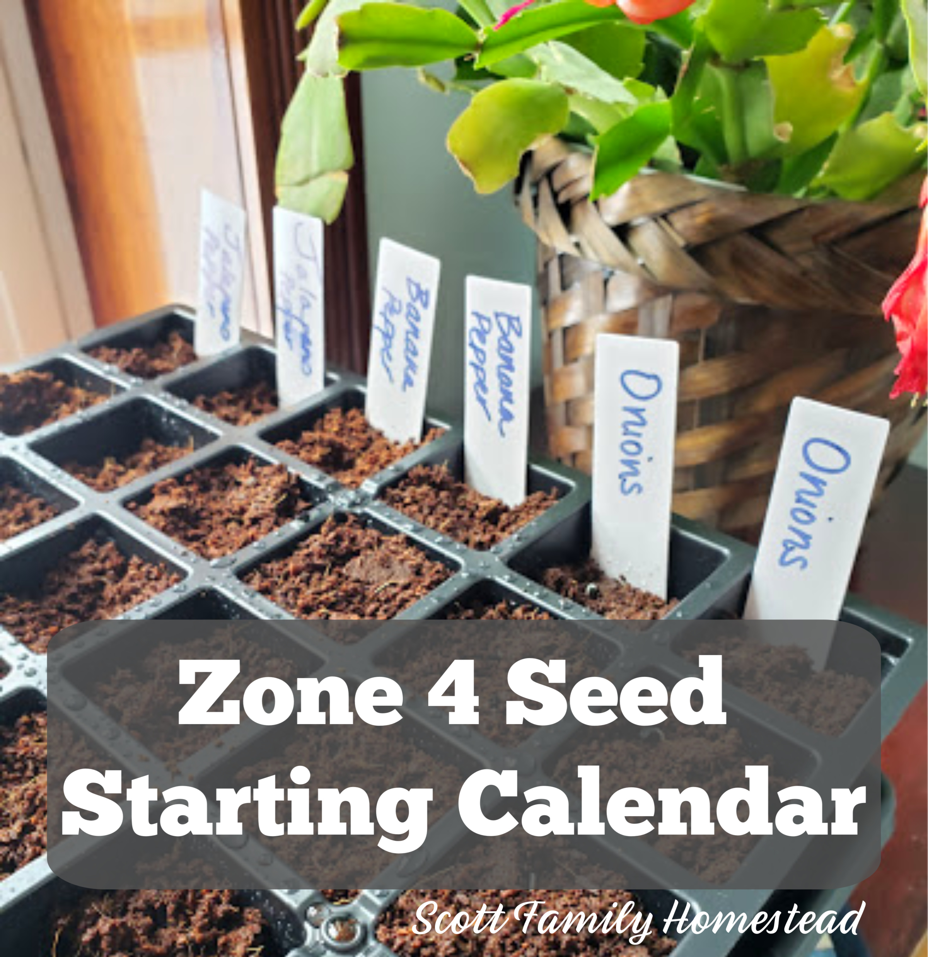 Calendar For Starting Seeds Indoors - Brear Gwenette