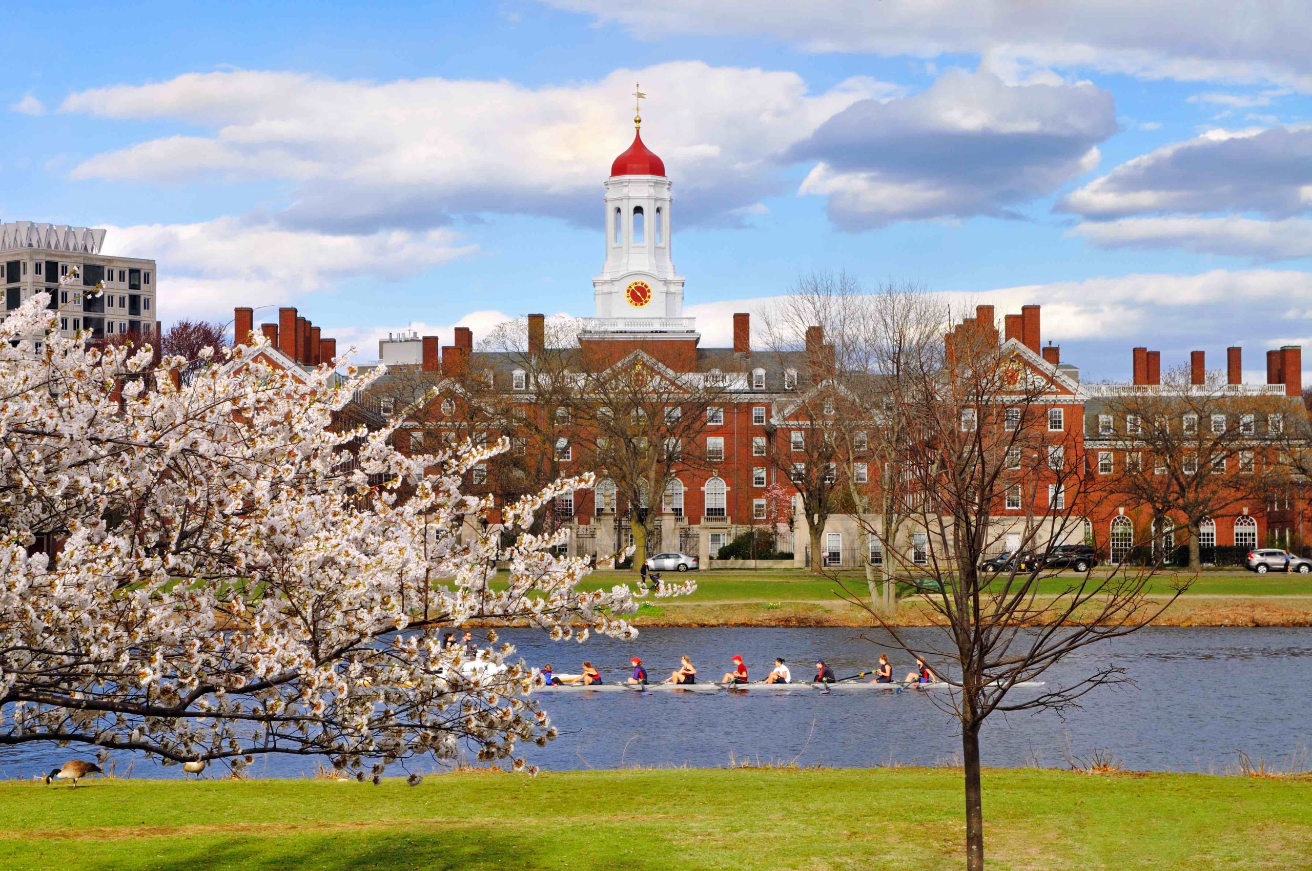 Affirmative Action Harvard North Carolina