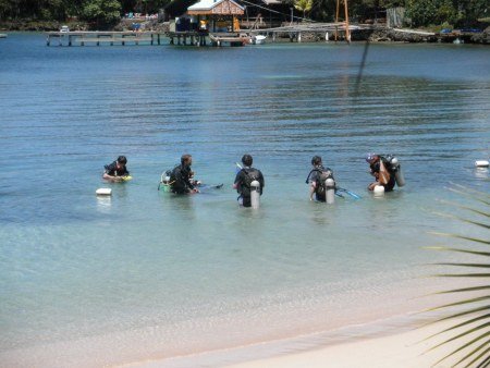 scuba diving lesson in West End roatan 