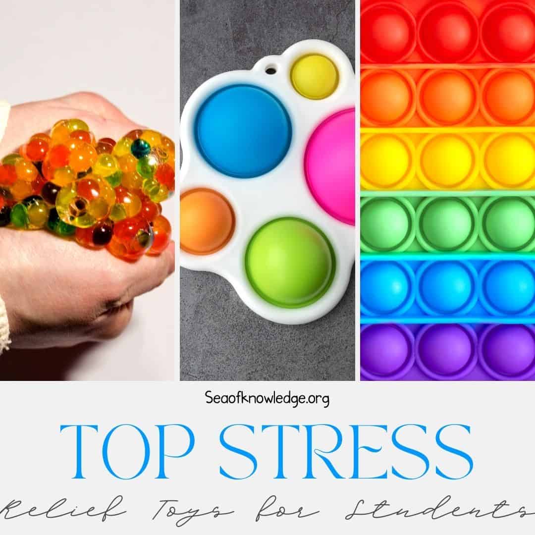 5 Best Selling Stress relief Toys for Students