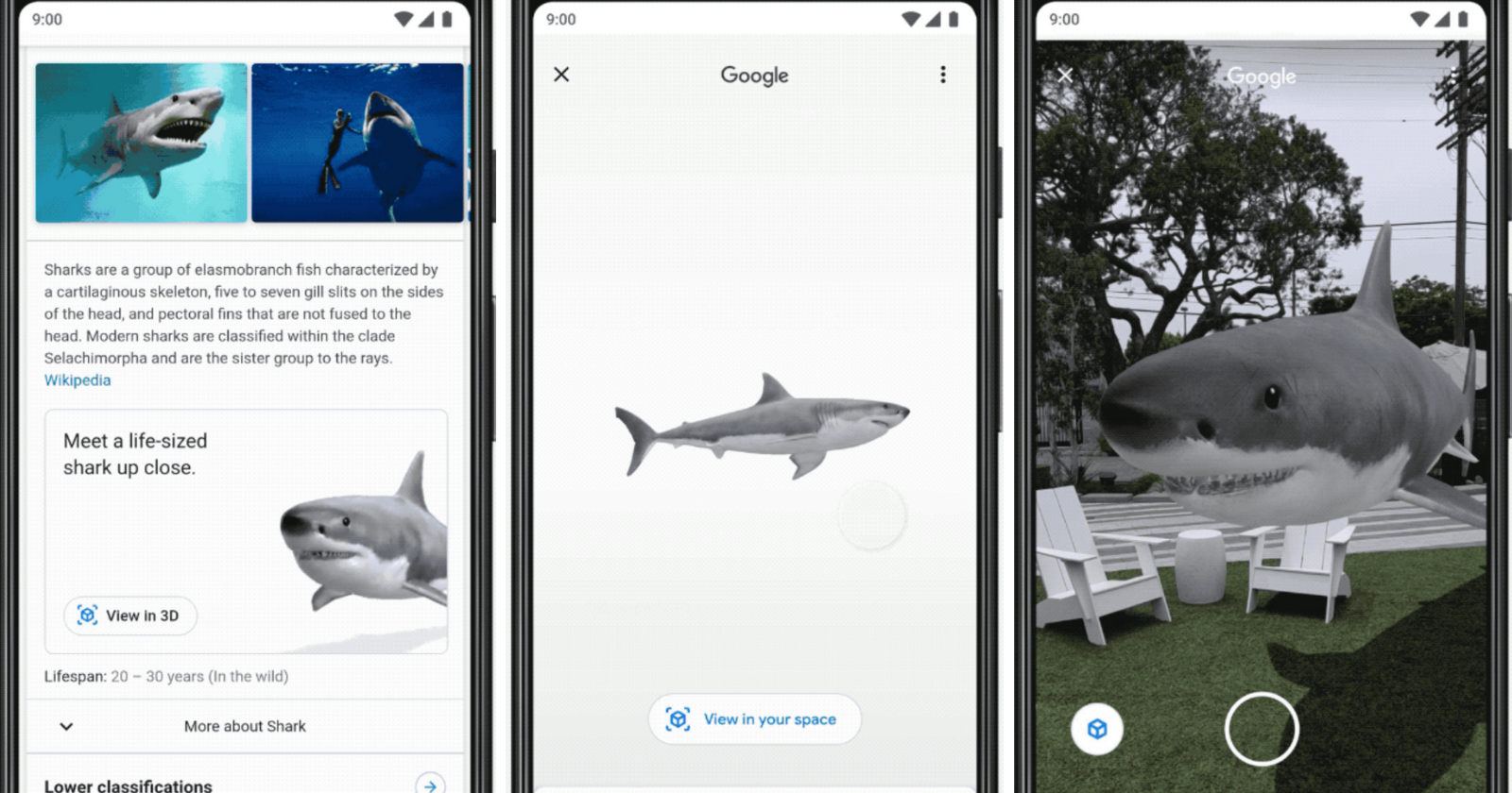 Google Brings Augmented Reality to Search Results