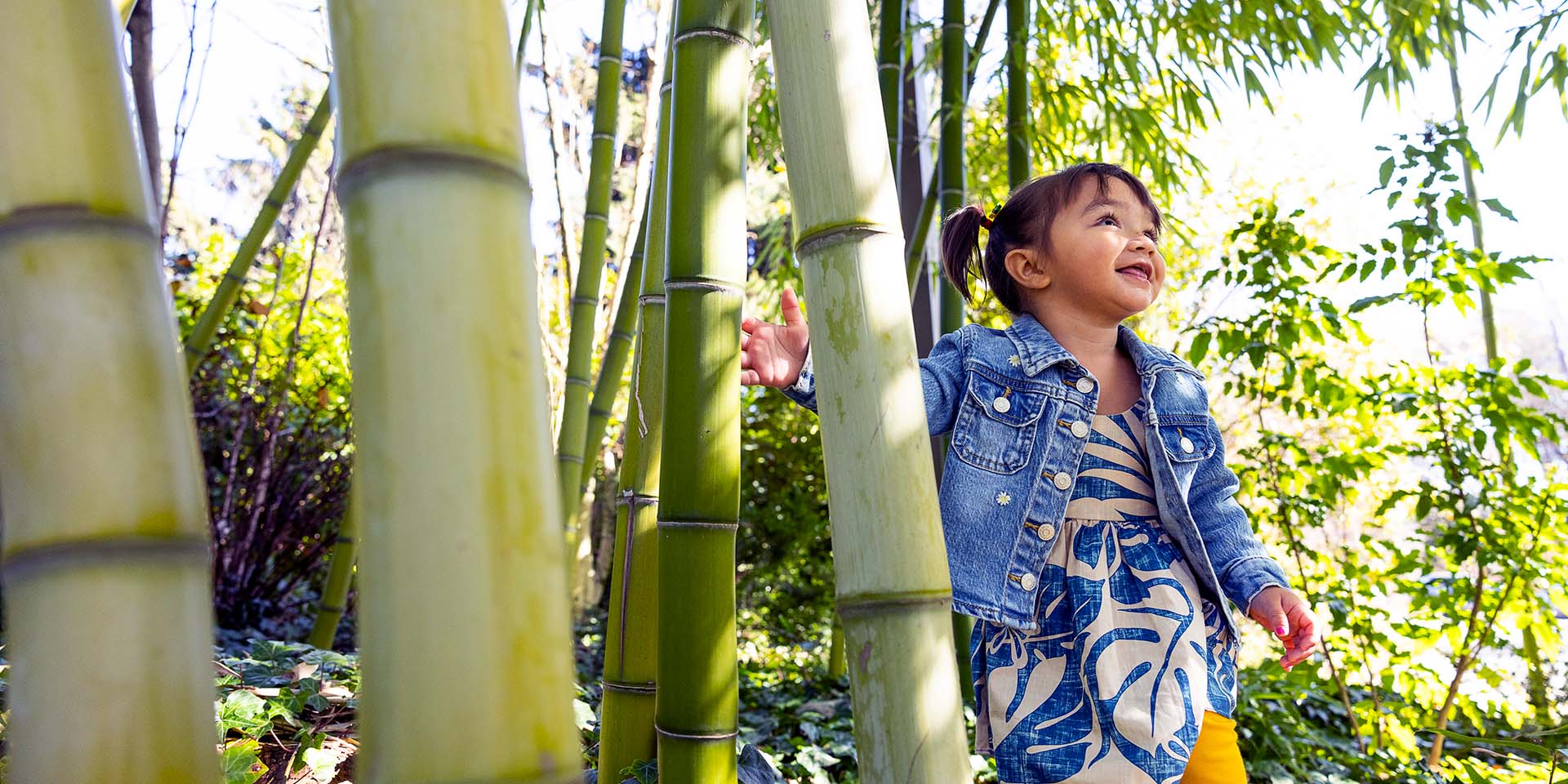 A girl runs through a bamboo forest