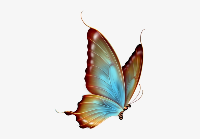 Яндекс - Фотки - Transparent Background Butterfly Png PNG Image |  Transparent PNG Free Download on SeekPNG