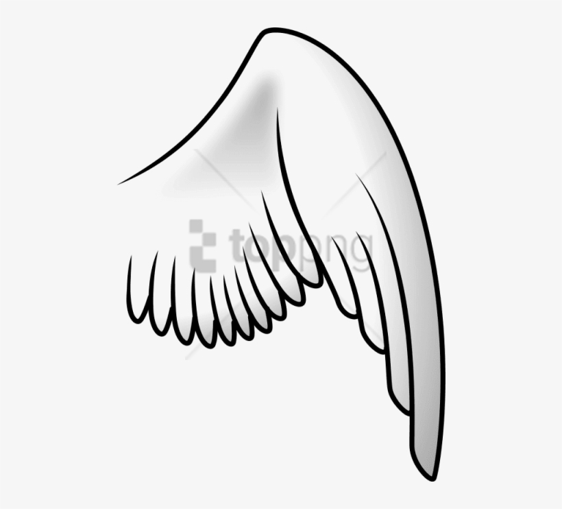 Free Png Download Bird Wing Png Images Background Png - Bird Wings Clipart  PNG Image | Transparent PNG Free Download on SeekPNG