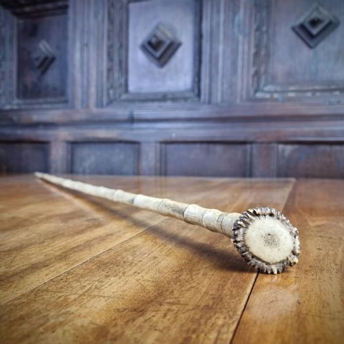 A 19TH CENTURY BONE WALKING CANE