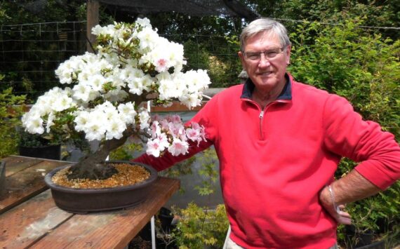 Photo courtesy of Sequim Prairie Garden Club/ Dungeness Bonsai Society member and Past President Ron Quigley speaks at 10:30 a.m. Monday, Jan. 6 in Pioneer Memorial Park.