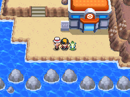 Pokémon Heart Gold & Soul Silver - Gym Leaders