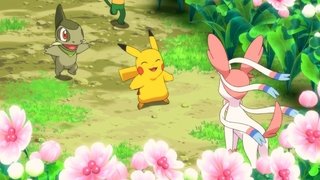 Eevee & Friends Pictures