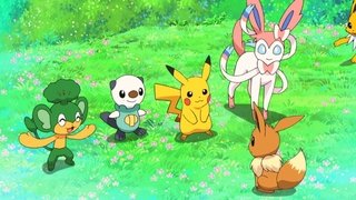 Eevee & Friends Pictures