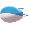 Wailord