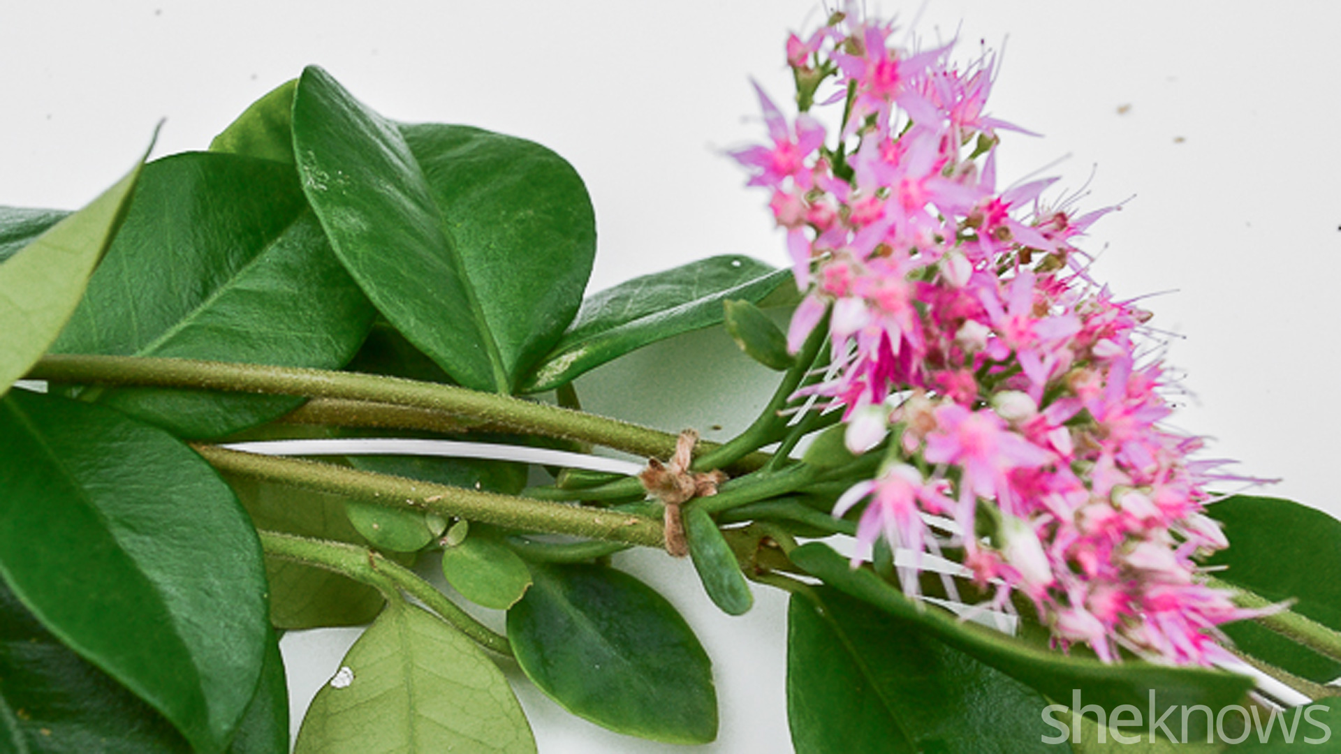 flower garland