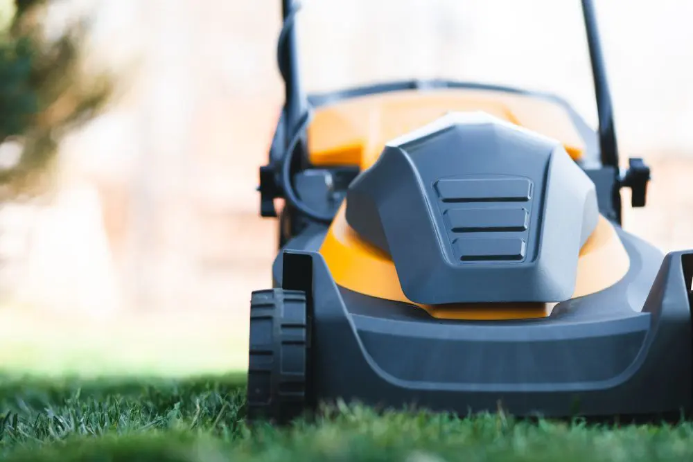 Best Electric Lawn Mower