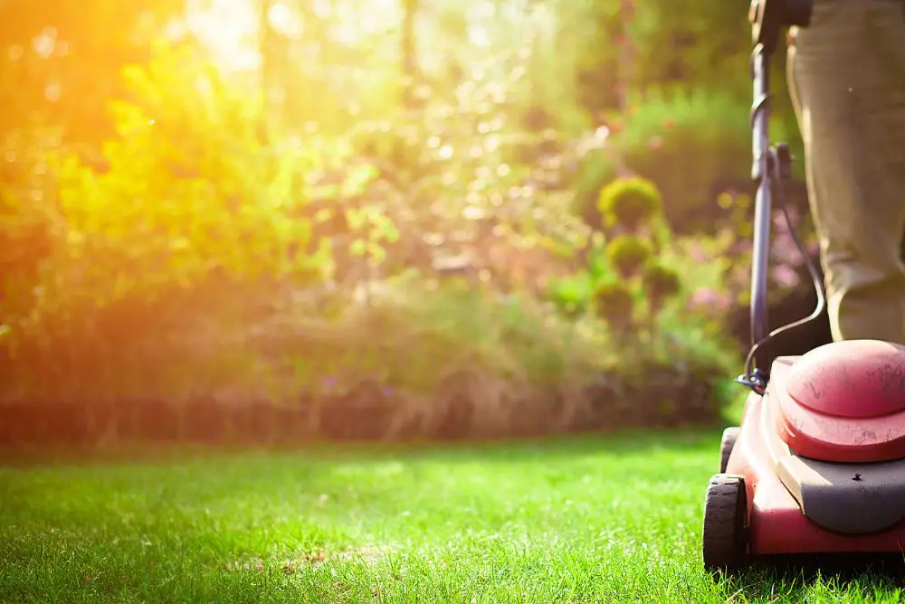 Electric vs. Gas Lawn Mower