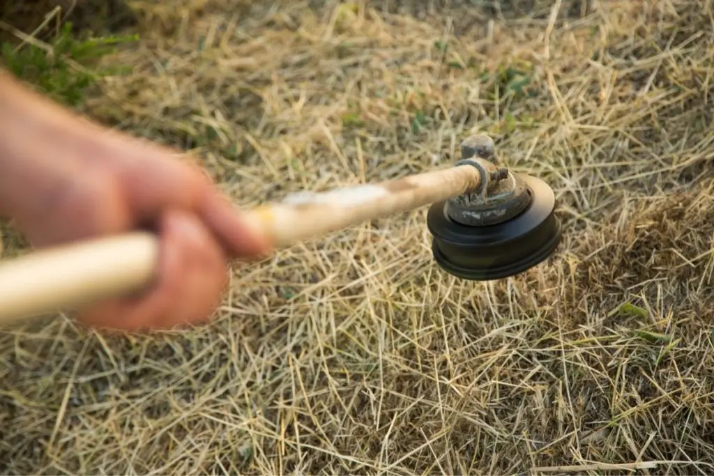 Using one of the Best Weed Eater