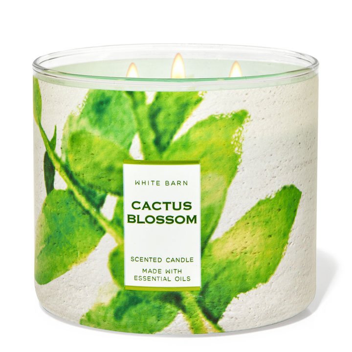 Nến thơm Bath & Body Works White Barn Cactus Blossom, 411g