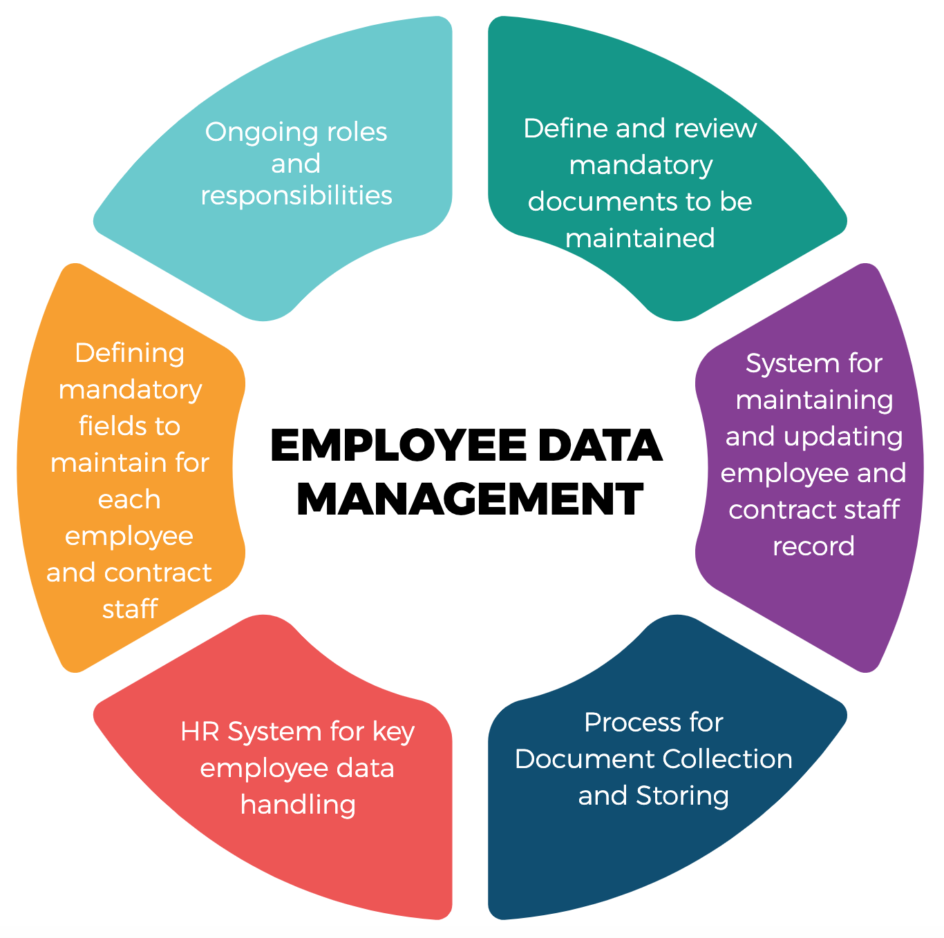 Hr Organizational Life Cycle