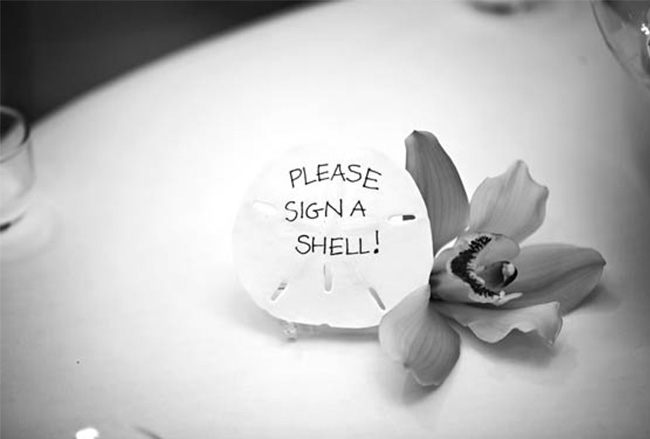 Shells Guest Book