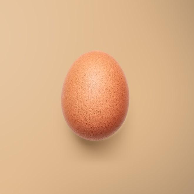 Egg