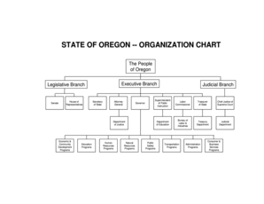 State Government Structure Chart