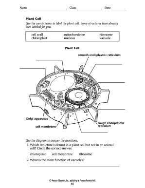 Cell worksheet pdf - Fill Out and Sign Printable PDF Template | SignNow