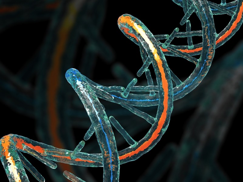 Unlocking human genome’s secrets is the greatest data science challenge