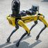 Engineering the future from robot dogs to space exploration