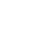 White snowflake graphic