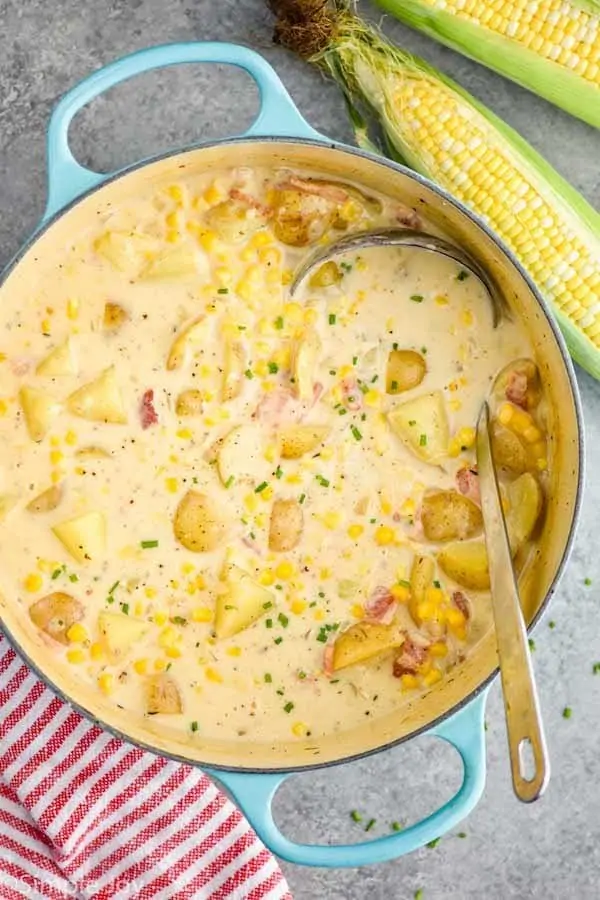 overhead of a pot of corn chowder