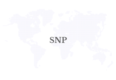 SNP expands partnership with SAP