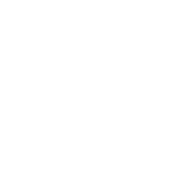 pinterest icon