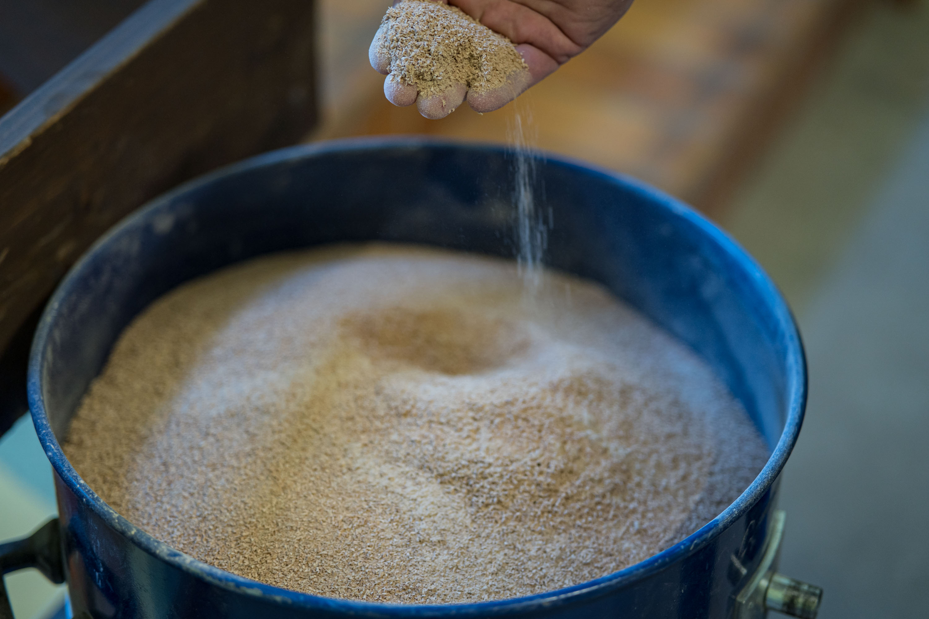 Wood shavings.