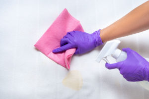 Person cleaning a mattress