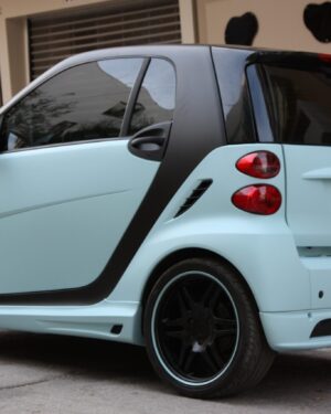 Body Kit Desired Color Smart Fortwo 451.