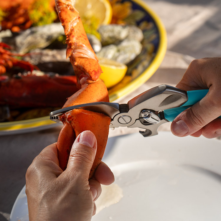 Crab claw cutter