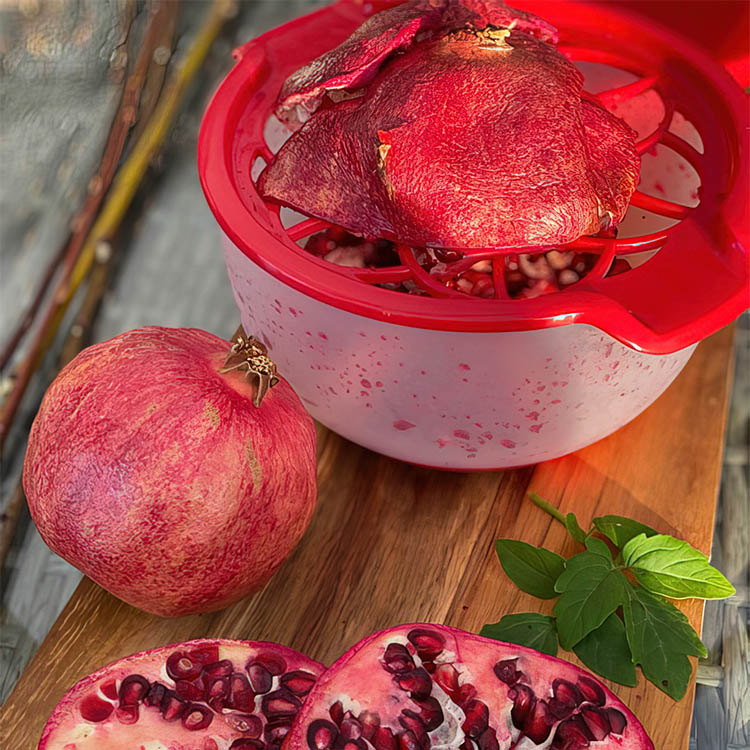 Pomegranate Deseeder